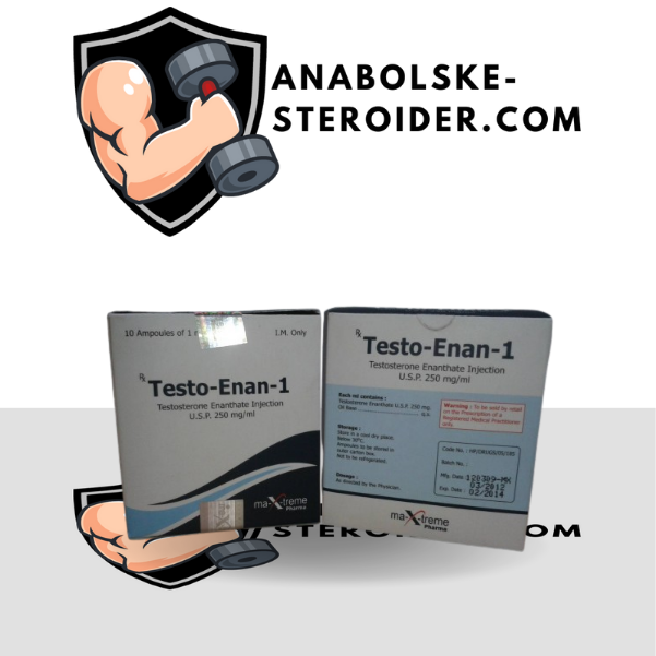 Testo-Enan amp