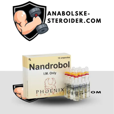 NandroBol 10 ampuller (375mg/ml)